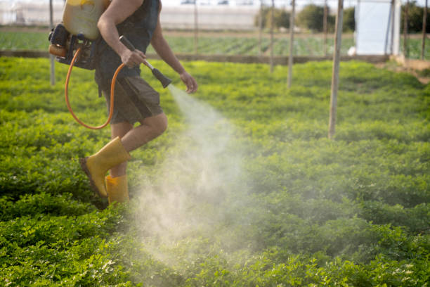 Best Residential Pest Control  in Gibsonburg, OH