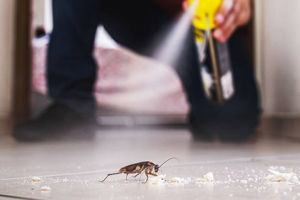 Best Residential Pest Control  in Gibsonburg, OH
